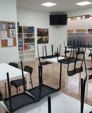 Nexus Sueca imagen 6