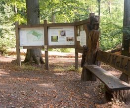 Am Eingang zum FriedWald Saarbrücken begrüßen zwei Eichhörnchen die Besucher.