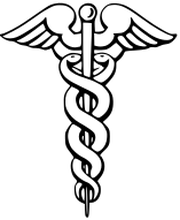 Chenuc Yannick image 3