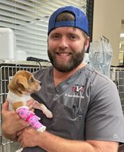 Bay City Veterinary Clinic & Equine Hospital image 2