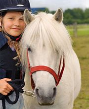 Les Poneys Vençois image 1