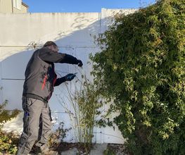 Atout Jardin Services image 1