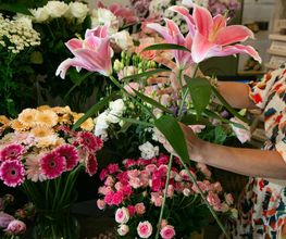 Les Fleurs de Cuers image 7