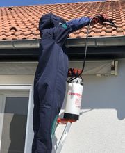 Allô Guêpes 57 image 9