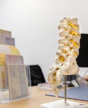 OrthoCentrum Bad Schwartau Bild 13