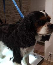 Flair'Allure image 12