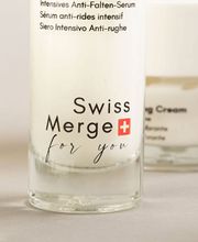 Swiss Merge Sagl Bild 3