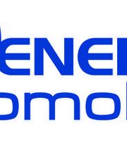 Reneins Automobiles image 1