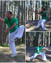 KMANTIS ASSOCIATION WUSHU ACADEMY - Roma immagine 5