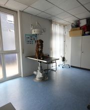 Kleintierpraxis Eckhard Bürgener Tierarzt Bild 3