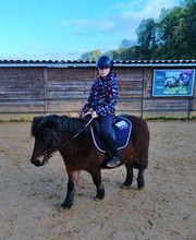 Les Poneys de Monthoiron image 10