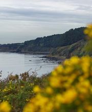 ORIENTACTION Billiers - Bilan de compétences image 1