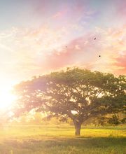 Kracheletz Bestattungen