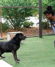 Willowrun Veterinary Hospital image 7