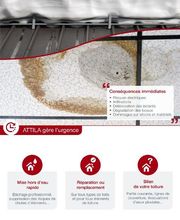 Attila image 5
