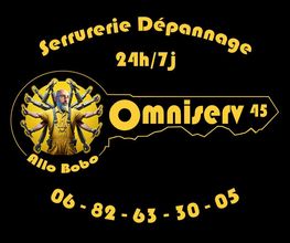 Omniserv 45 image 2