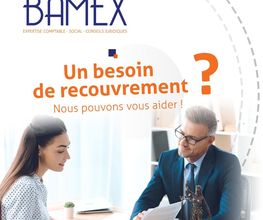 Bamex image 4