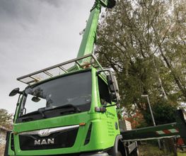 Baum-plus GmbH Bild 7