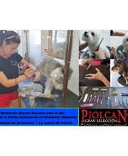 Piolcan Adiestramiento Canino y centro de formación imagen 7