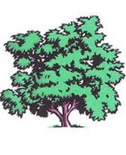 Lacanal Frères SNC image 1