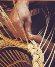 Delamotte Valérie image 4