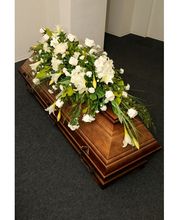 Bestattungen Pietät Bracht GmbH Bild 11