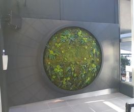 Savi PAYSAGE image 4