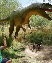 Allosaurus