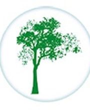 Breizh Arborescence image 9