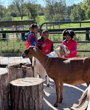 Field trip to The Children's Farm at the Center in Palos Park