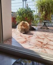 300995099-1-z7S4JA1lhc1756819053124.jpeg