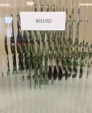 Bentonville Glass Inc image 11