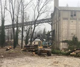 Exploitation Forestière Dumont image 7