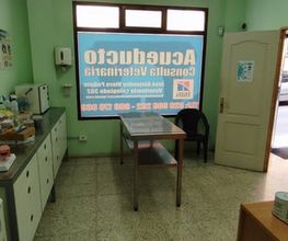 222043689-1-3g2Wj5stve1650882882498.jpeg