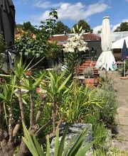 Restaurant Kastell 72172 Sulz am Neckar Hartensteinstr. 35