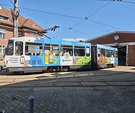 Dirk Haufe Haufe Werbung Bild 9