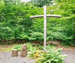 FriedWald Lauterbach Bild 7