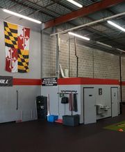 Primal 1 Baseball Player Development image 1