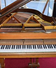 Hermans Thomas Bild 2