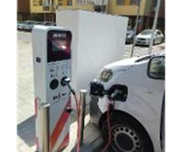Wenea imagen 1