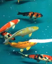 Zoowelt Bechtheim Bild 3