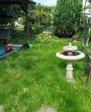 Bantak Gartenpflege und Gebäudereinigung Bild 9