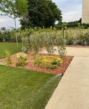 JSP Paysage image 4