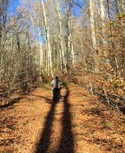 CENTRO DE RETIROS DE YOGA PIRINEO imagen 8