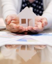 Ymanci Tridon Courtage image 9