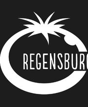 Blue Tomato Shop Regensburg Bild 11