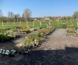 Dessapt Horticulture image 4
