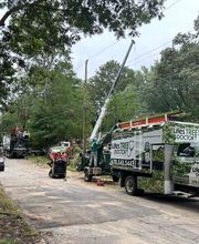 Life's Tree Doctor, LLC image 9