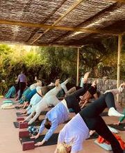 Somers Salutations Bild 4