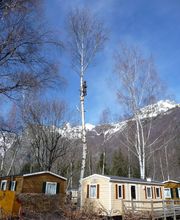 Mollier Bertrand image 8